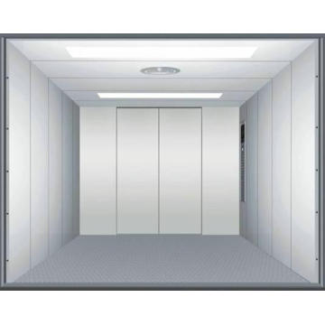 Elevator Door Automatic for Car Lift Mrl